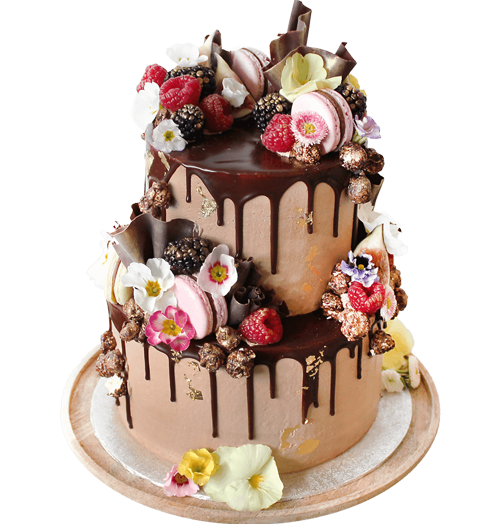 Cake Park in Besant NagarChennai  Order Food Online  Best Ice Cream Cake  Retailers in Chennai  Justdial